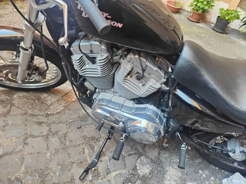 Harley-Davidson 883 (2008 - 09) - XL (5)