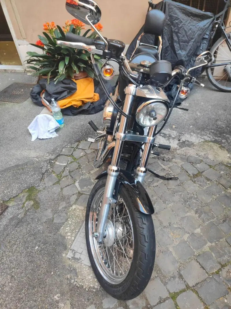 Harley-Davidson 883 (2008 - 09) - XL (6)