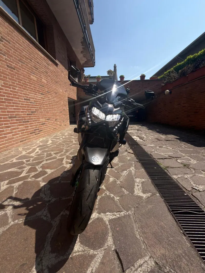 Kawasaki Z 900 (2021 - 24) (6)