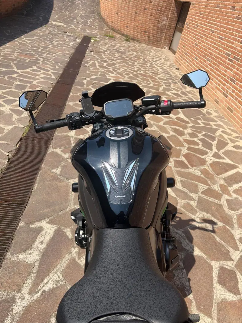 Kawasaki Z 900 (2021 - 24) (7)