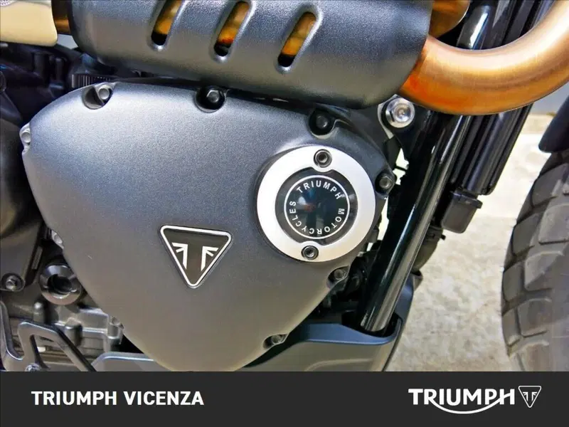 Triumph Street Scrambler 900 (2021 - 22) (13)