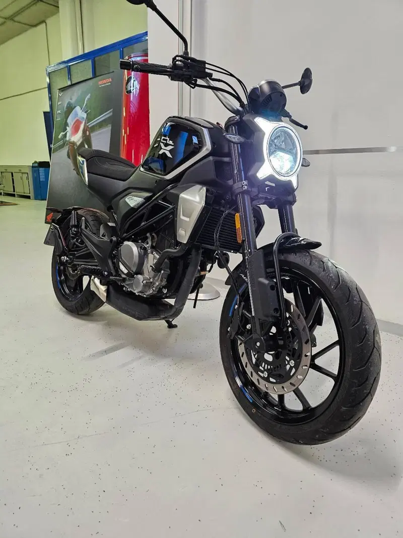 CFMOTO 300CL-X Heritage (2023 - 26) (2)