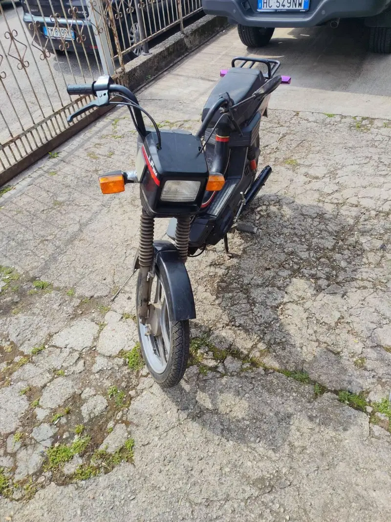 Atala Master lf2m  (2)
