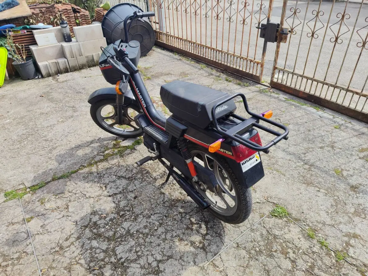 Atala Master lf2m  (3)