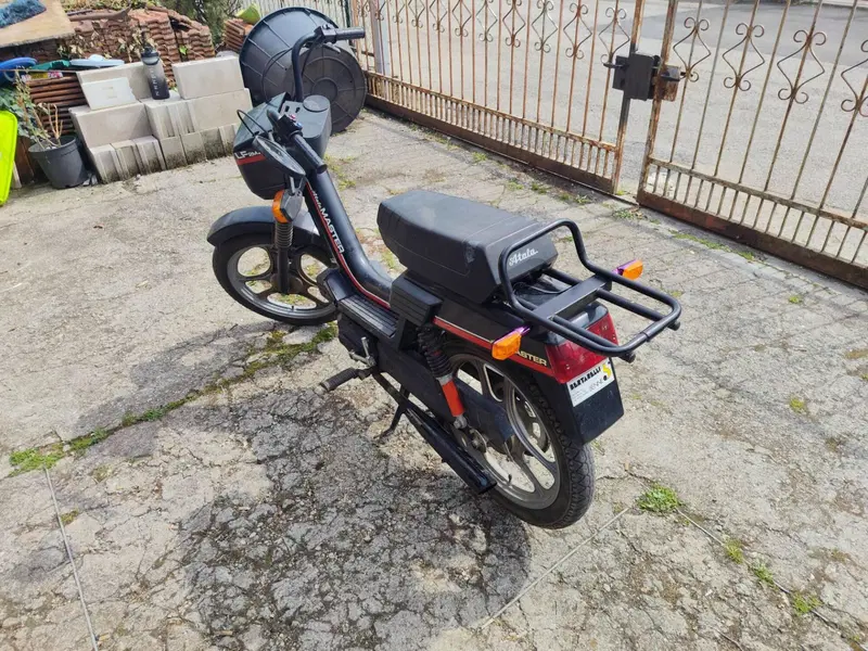 Atala Master lf2m  (3)