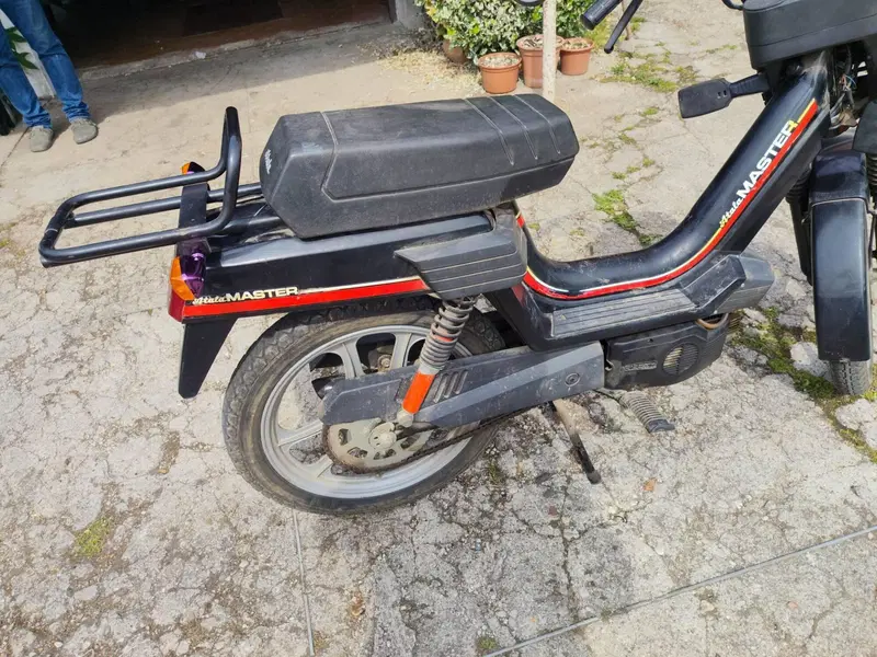 Atala Master lf2m  (4)