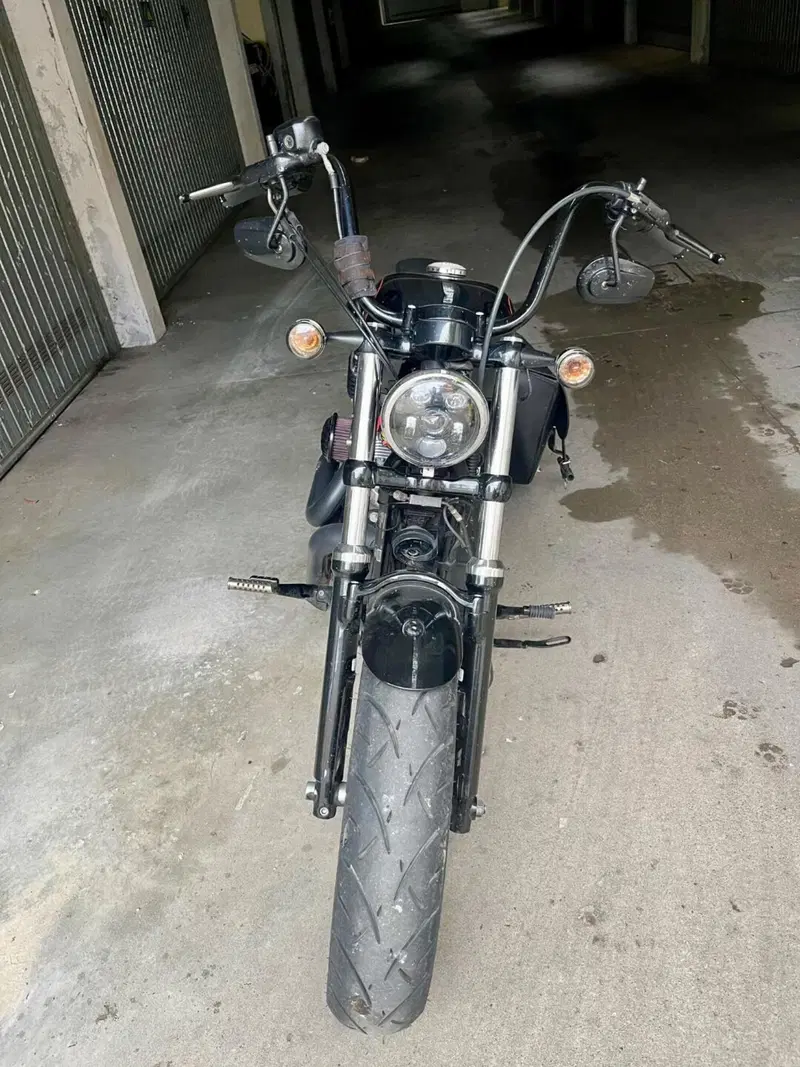 Harley-Davidson 1200 Forty-Eight (2010 - 15) (2)