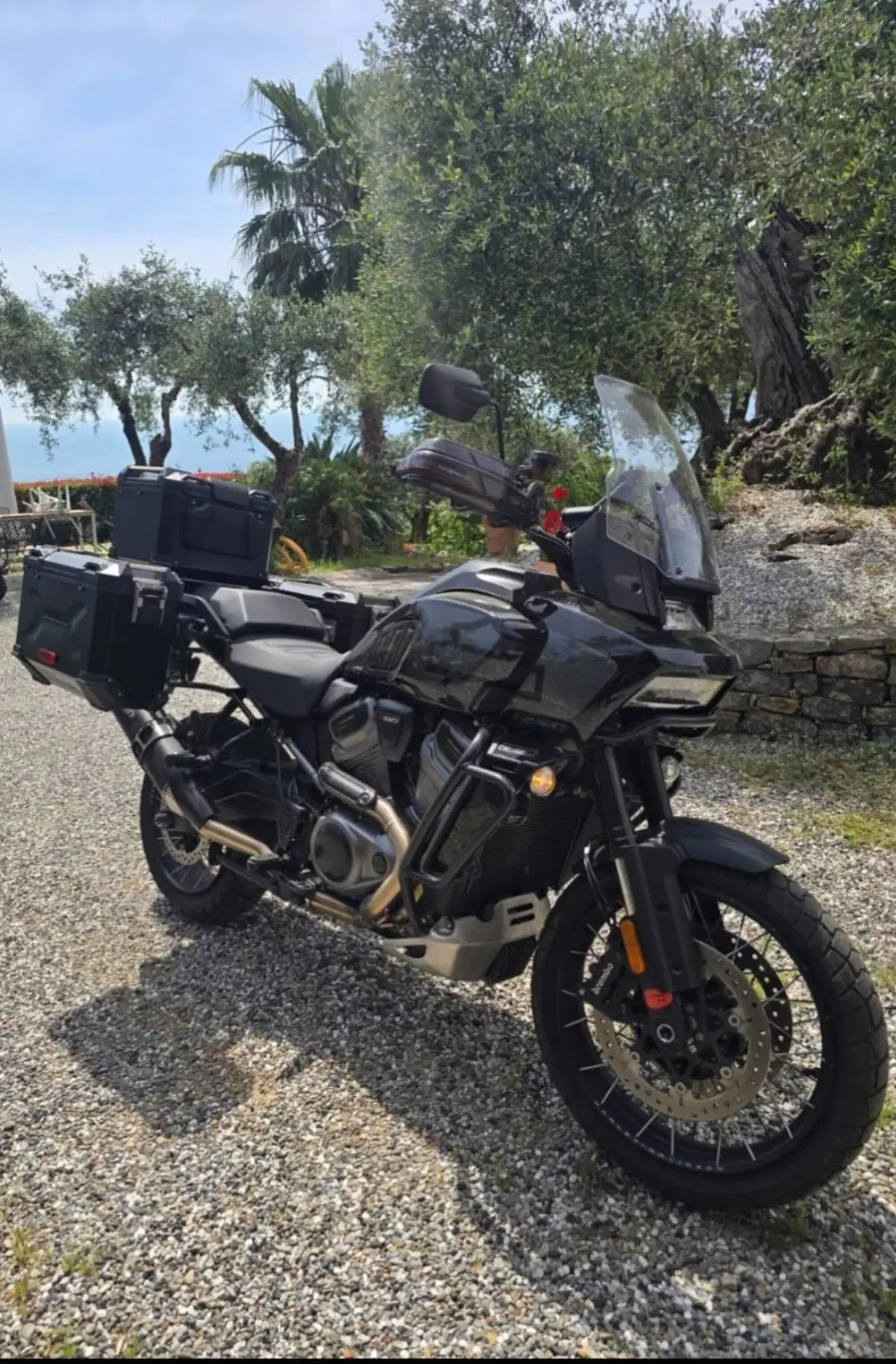 Harley-Davidson Pan America 1250 Special (2020 - 25) (3)