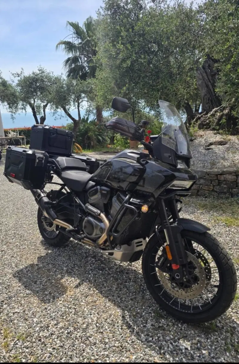Harley-Davidson Pan America 1250 Special (2020 - 25) (3)