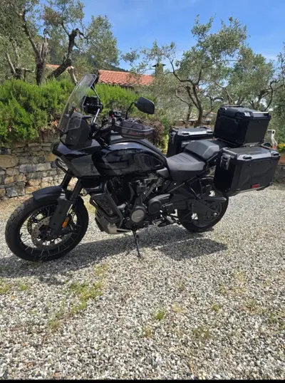 Harley-Davidson Pan America 1250 Special (2020 - 25) usata
