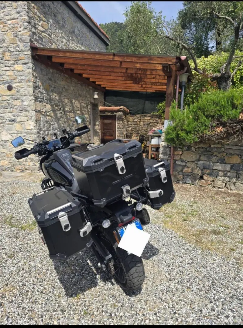 Harley-Davidson Pan America 1250 Special (2020 - 25) (6)