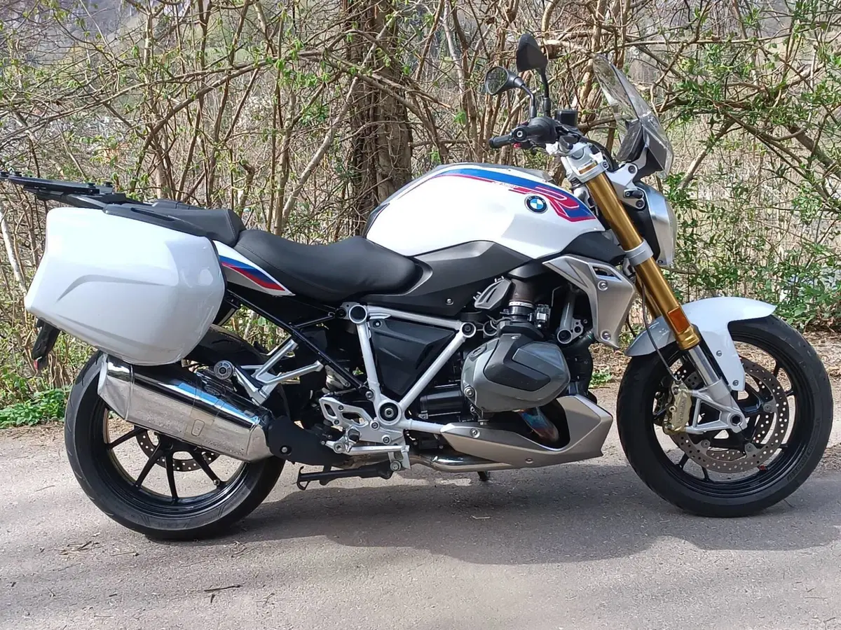 Bmw R 1250 R (2019 - 20) (2)