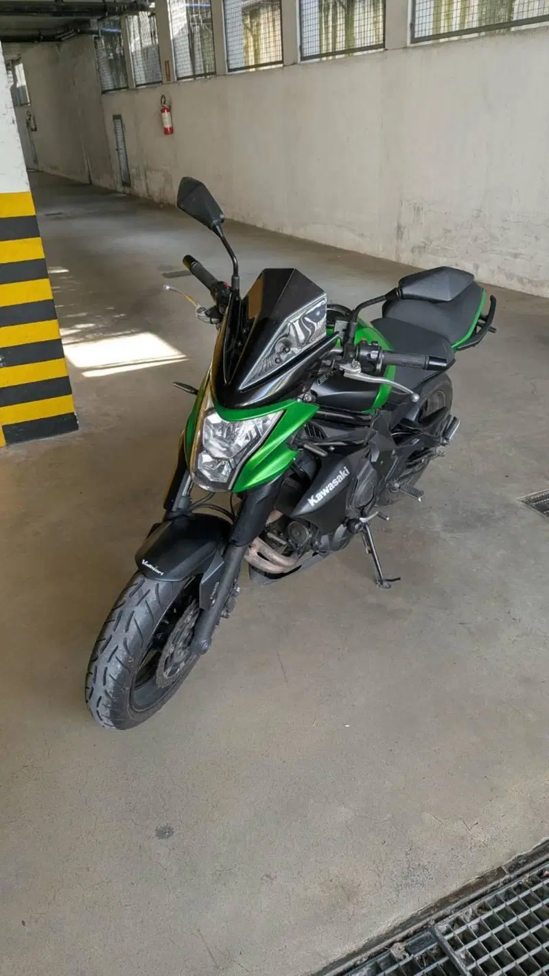 Kawasaki ER-6N ABS (2012 - 16) (2)