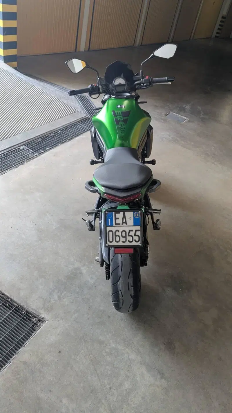 Kawasaki ER-6N ABS (2012 - 16) (5)