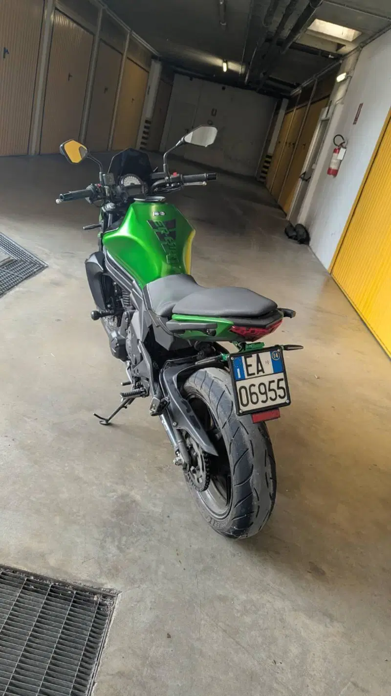 Kawasaki ER-6N ABS (2012 - 16) (8)