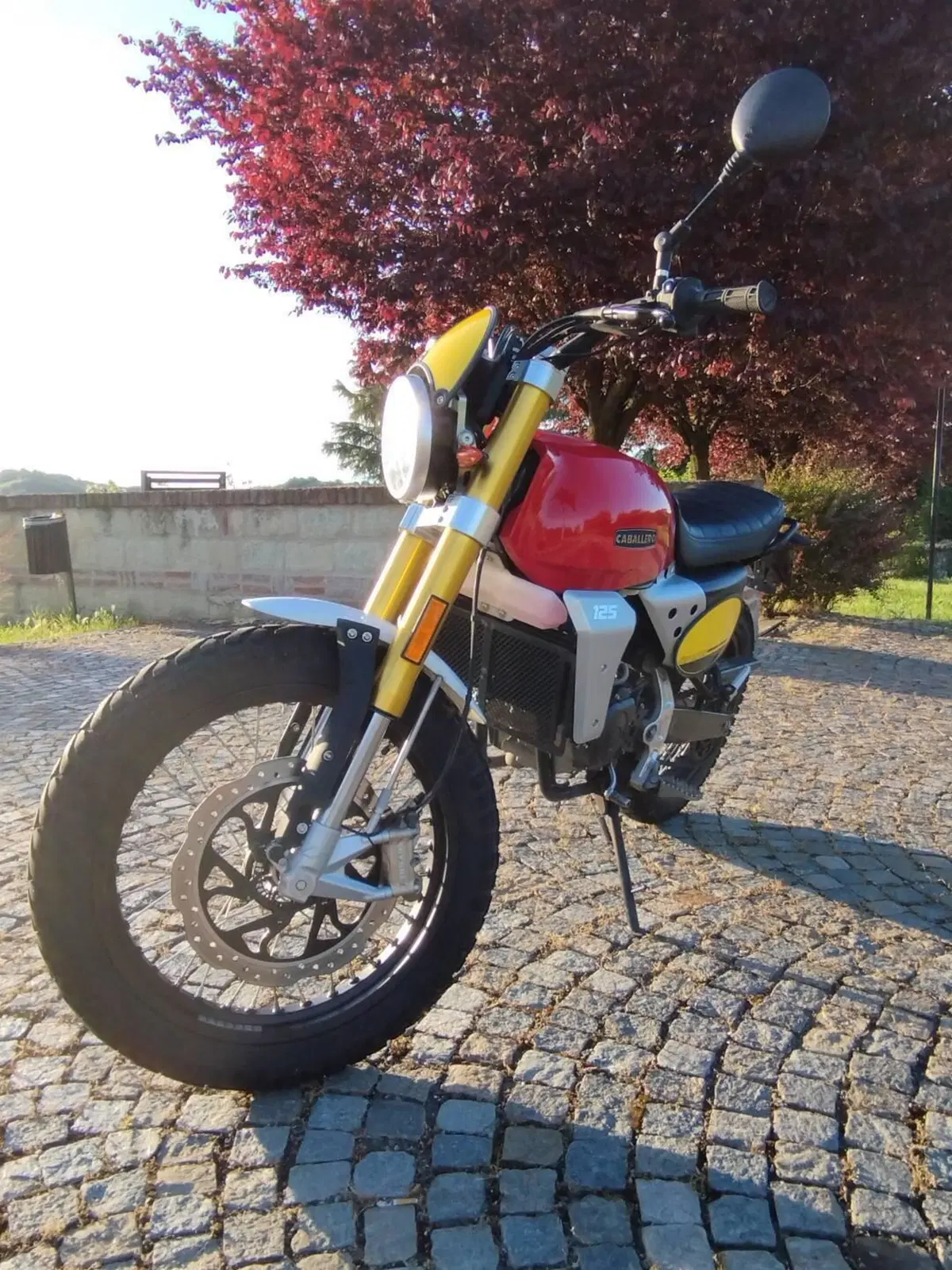 Fantic Motor Caballero 125 Scrambler (2021 - 23) (4)