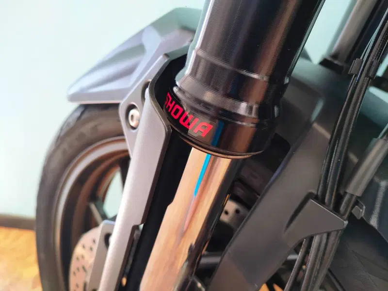 Triumph Tiger 1200 GT Pro (2022 - 23) (9)