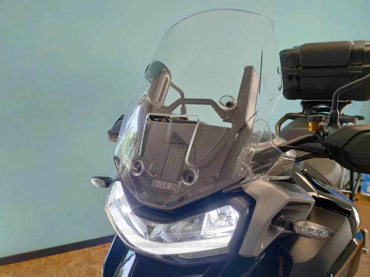 Triumph Tiger 1200 GT Pro (2022 - 23) (13)