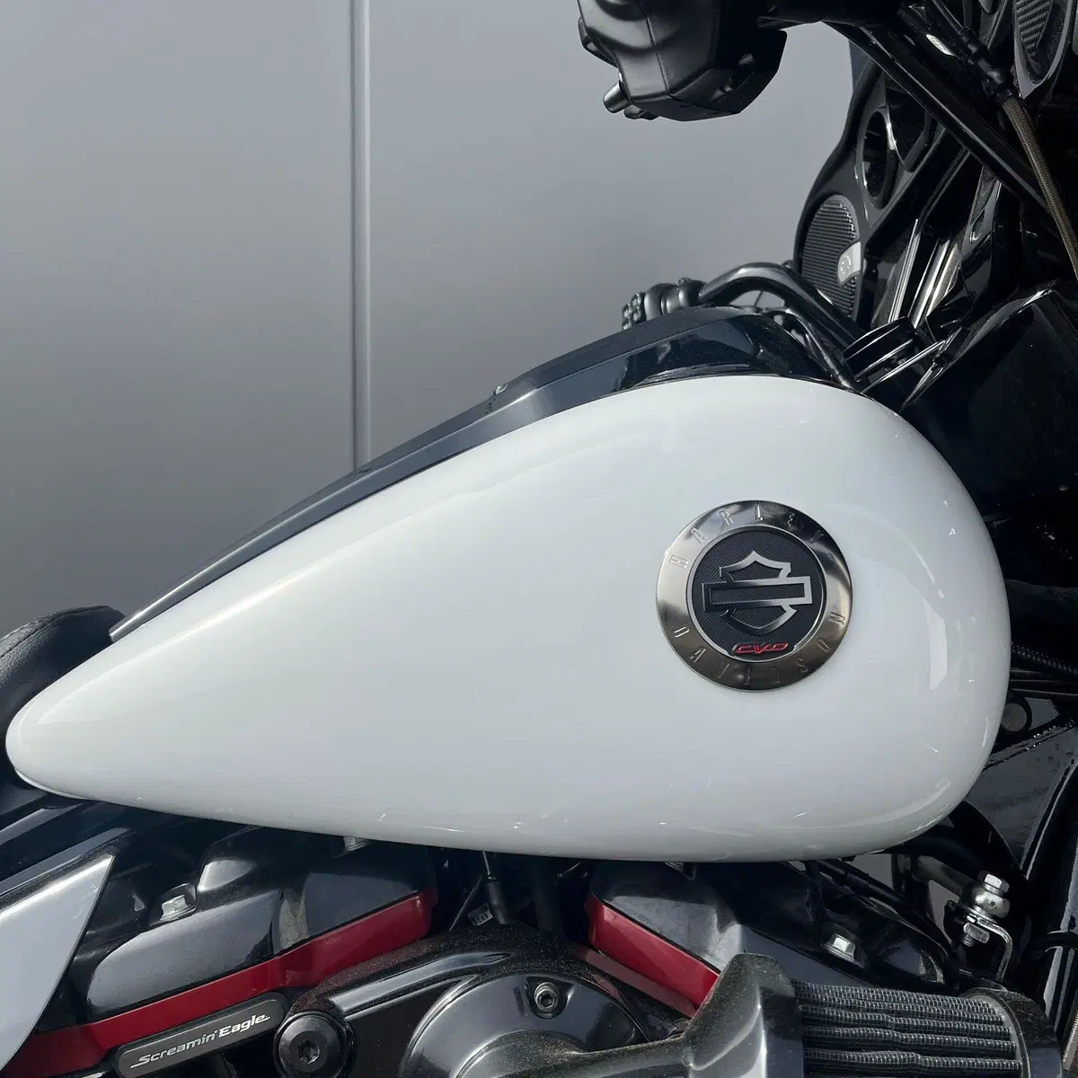 Harley-Davidson 117 Street Glide (2021) - FLHXSE (6)