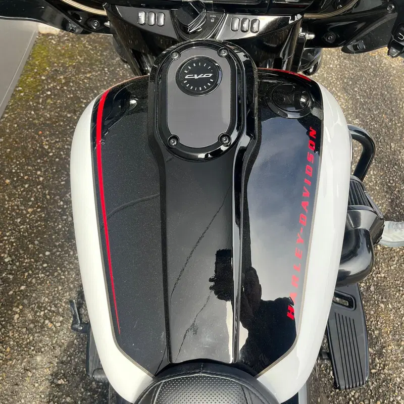 Harley-Davidson 117 Street Glide (2021) - FLHXSE (8)