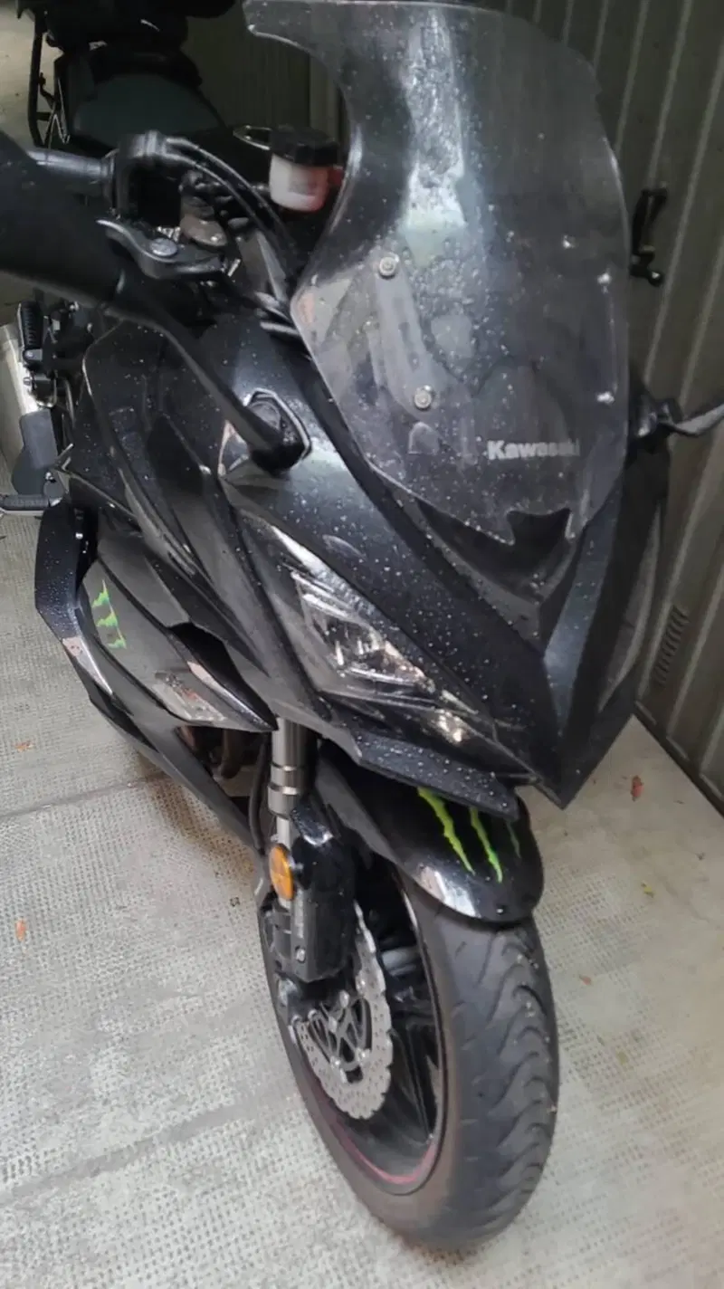 Kawasaki Z 1000 SX (2017 - 20) (2)