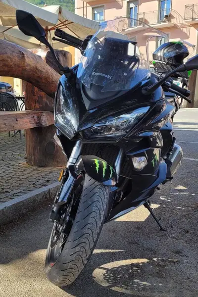 Kawasaki Z 1000 SX (2017 - 20) usata
