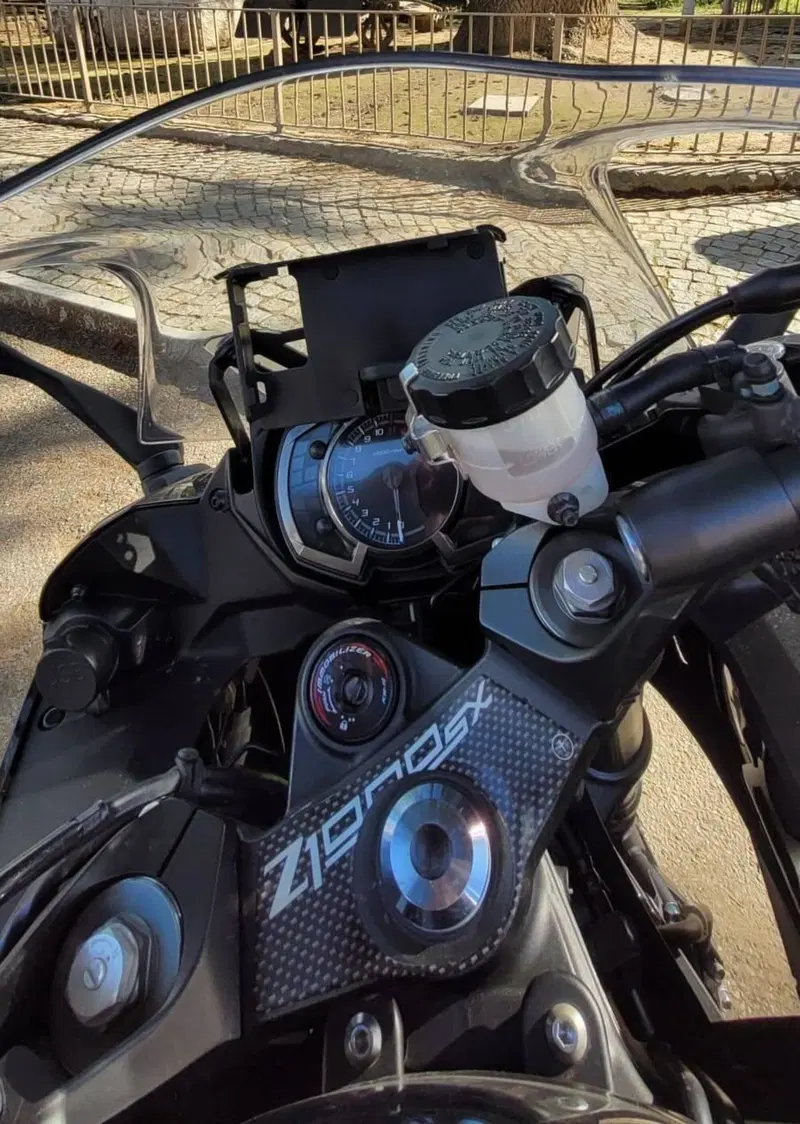 Kawasaki Z 1000 SX (2017 - 20) (3)