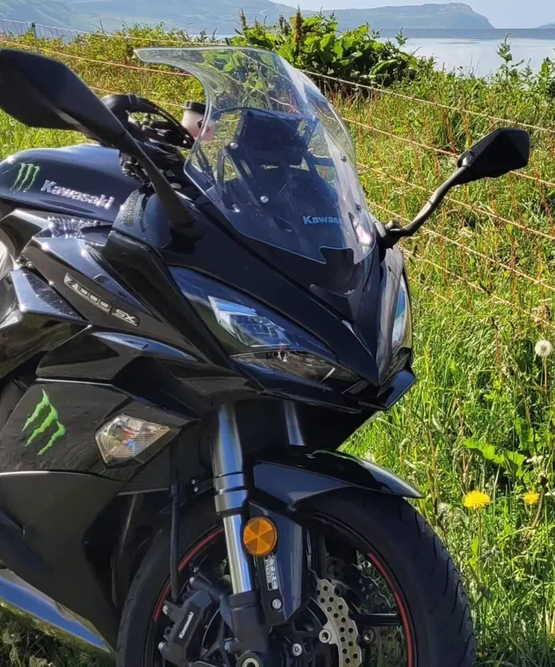 Kawasaki Z 1000 SX (2017 - 20) (6)