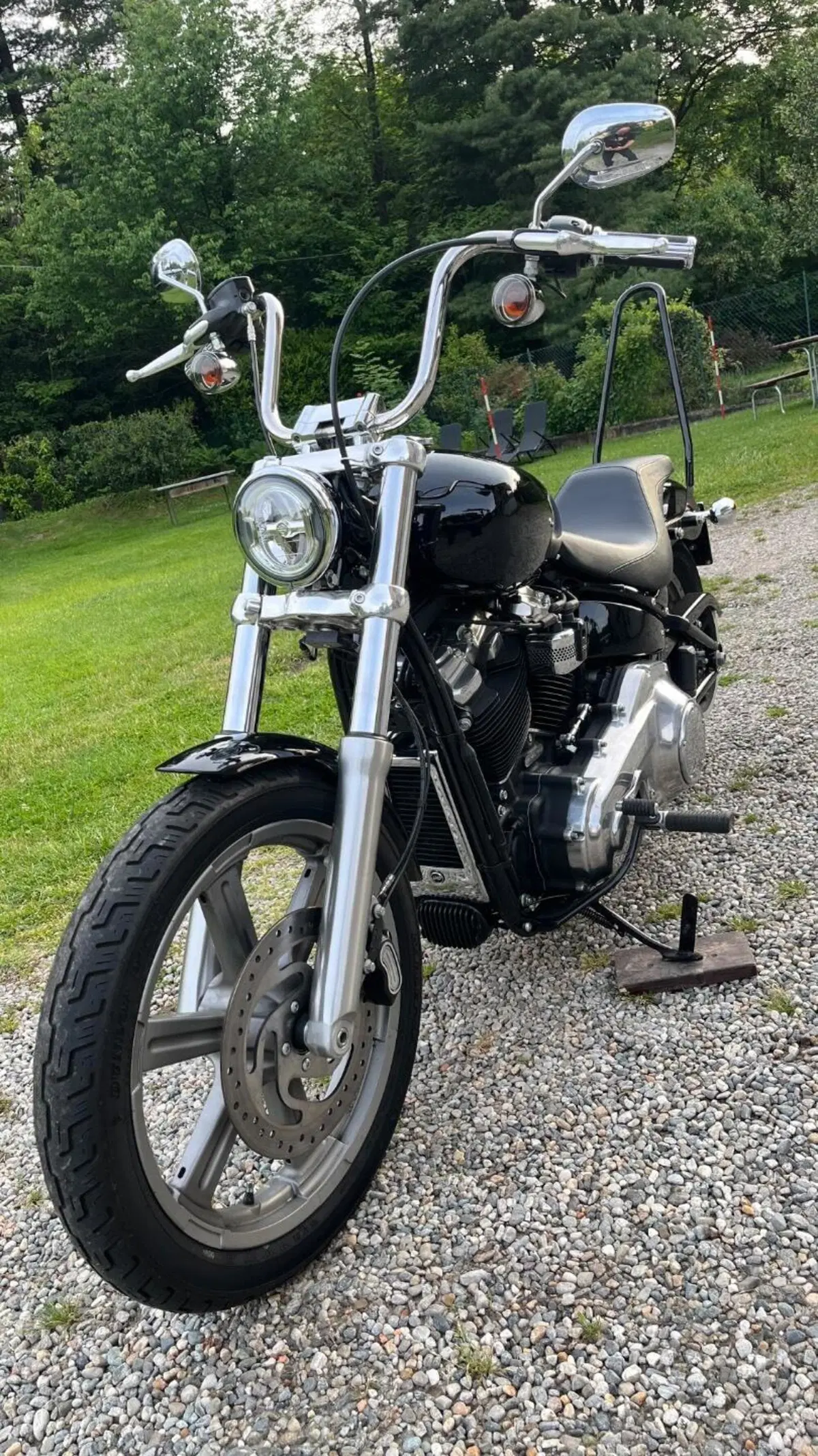 Harley-Davidson Softail Standard (2020) - FXST (2)