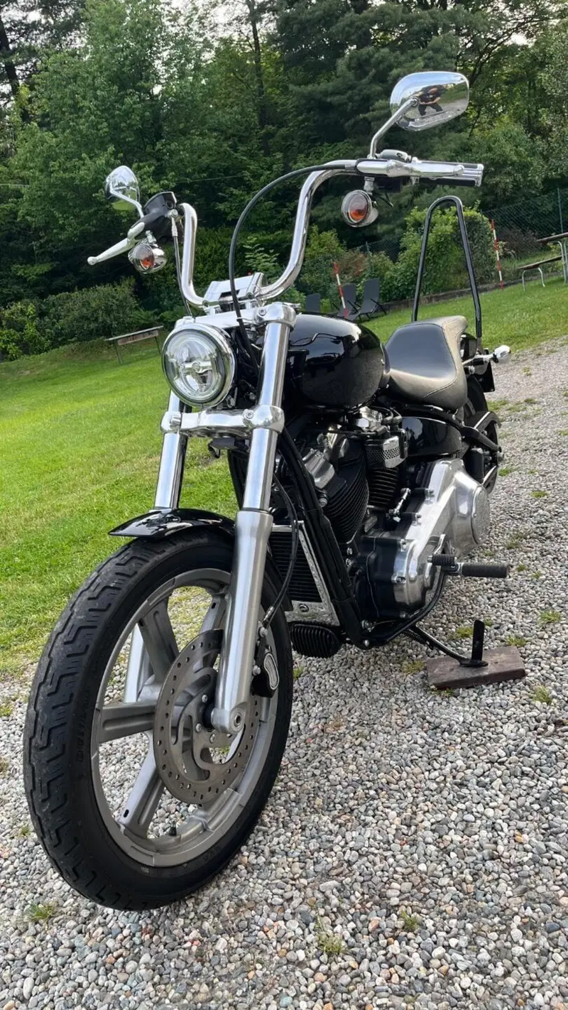 Harley-Davidson Softail Standard (2020) - FXST (2)