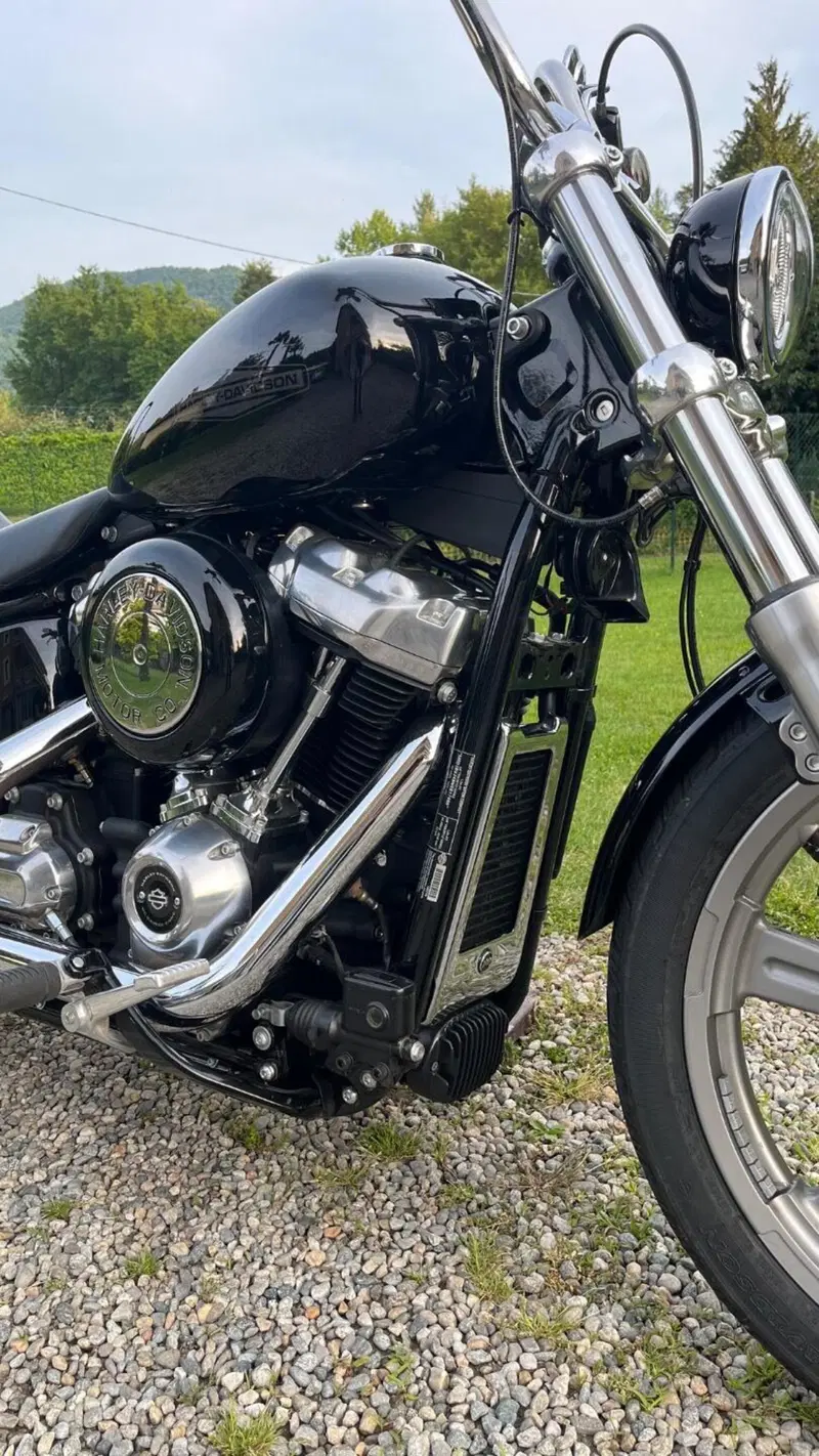 Harley-Davidson Softail Standard (2020) - FXST (3)