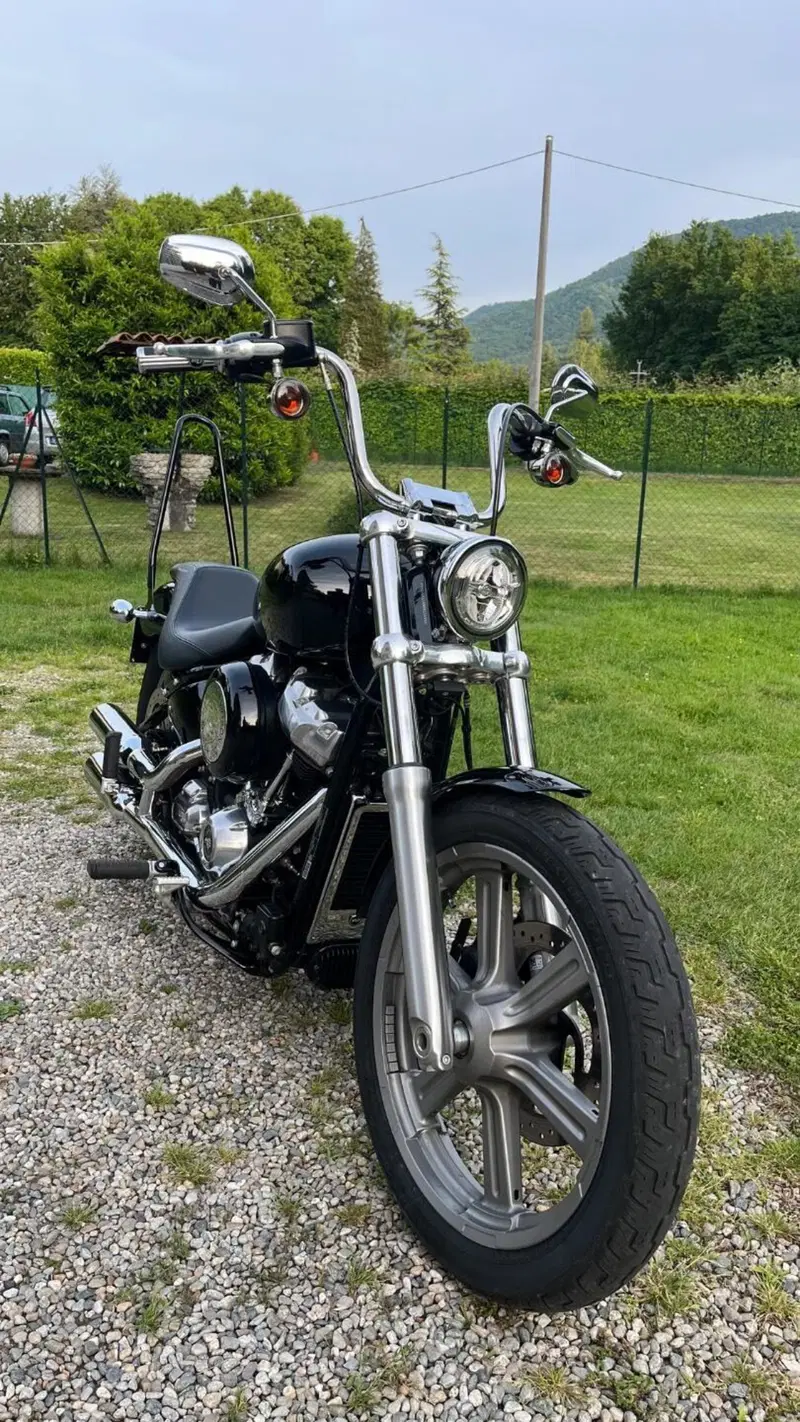 Harley-Davidson Softail Standard (2020) - FXST (7)
