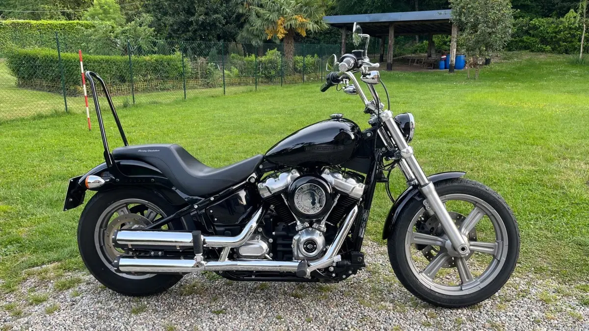 Harley-Davidson Softail Standard (2020) - FXST (10)