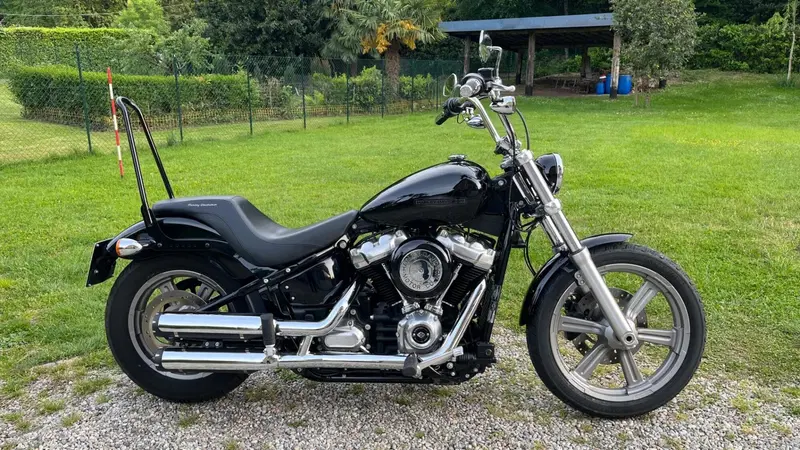 Harley-Davidson Softail Standard (2020) - FXST (10)
