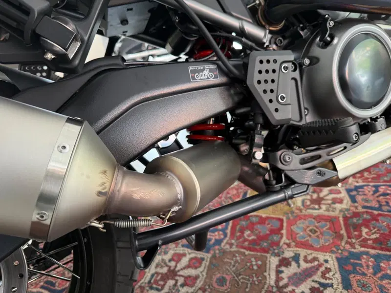 Harley-Davidson Pan America 1250 Special (2020 - 25) (14)
