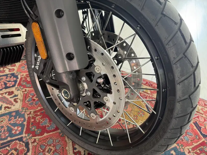 Harley-Davidson Pan America 1250 Special (2020 - 25) (17)