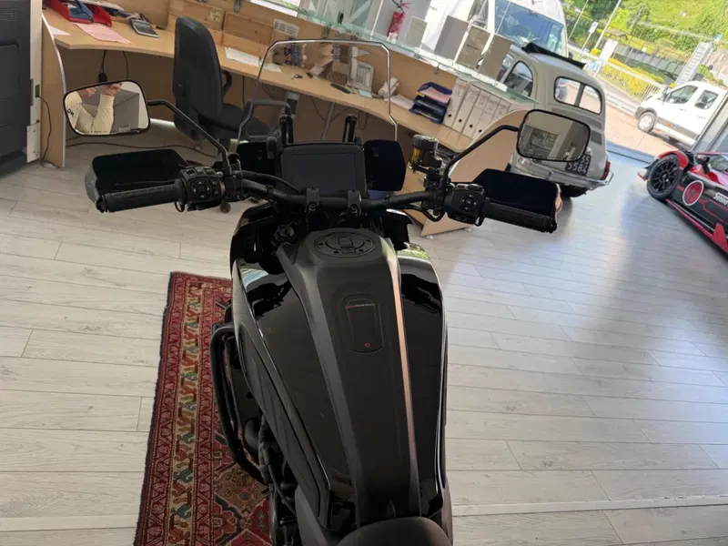 Harley-Davidson Pan America 1250 Special (2020 - 25) (8)