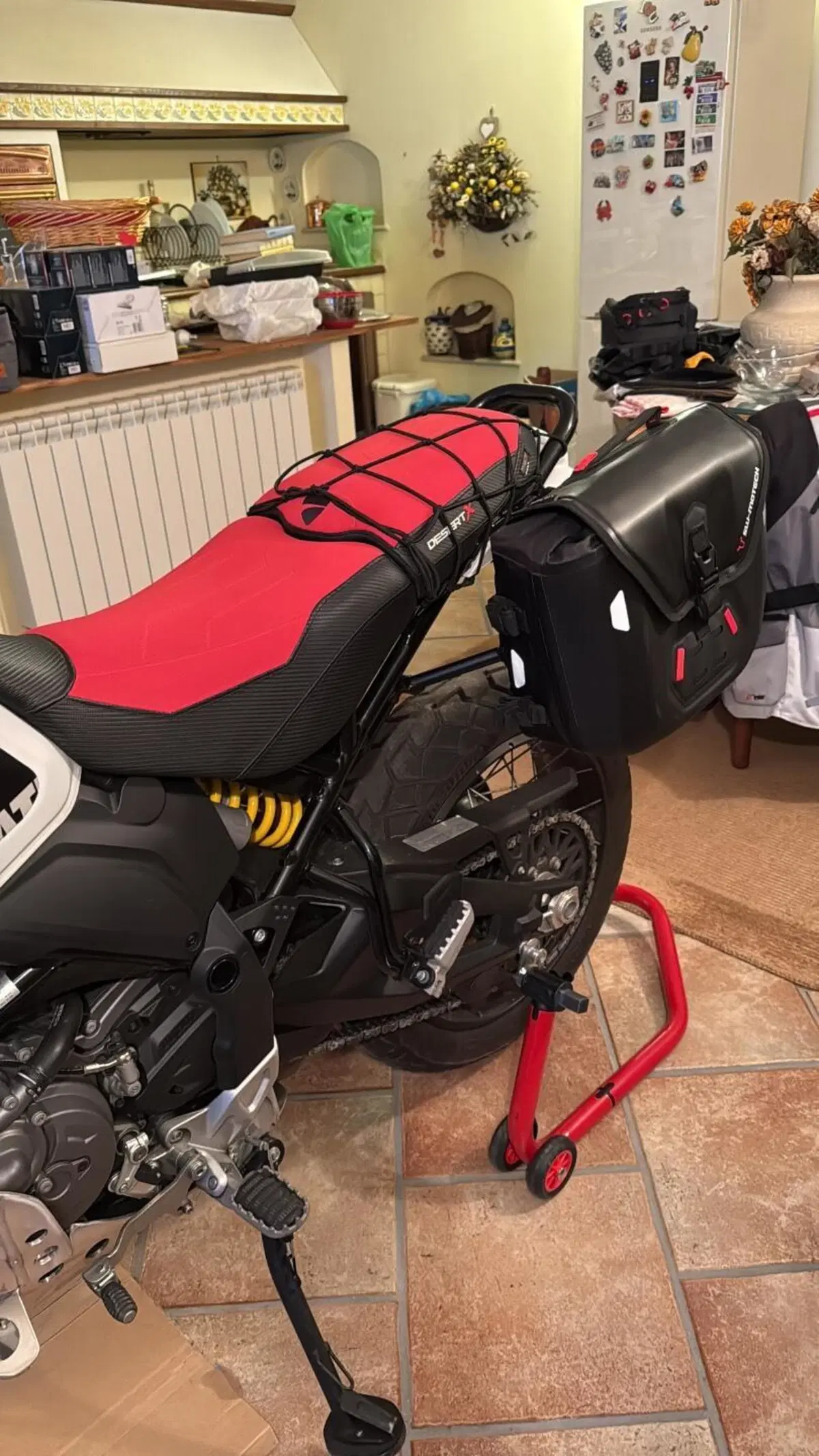 Ducati DesertX (2022 - 25) (4)
