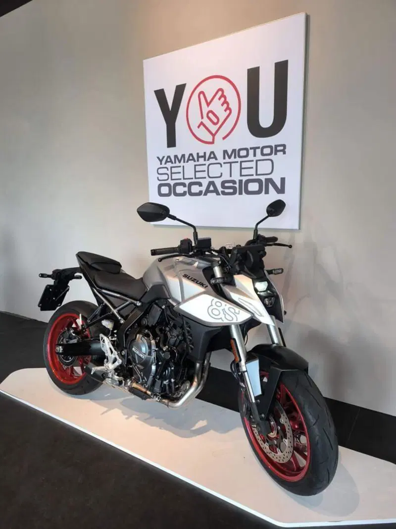 Suzuki GSX-8S (2025 - 26) (2)