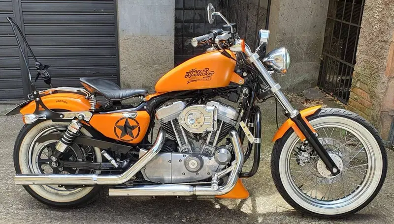 Harley-Davidson 883 Custom (2001 - 05) - XL 53C (2)