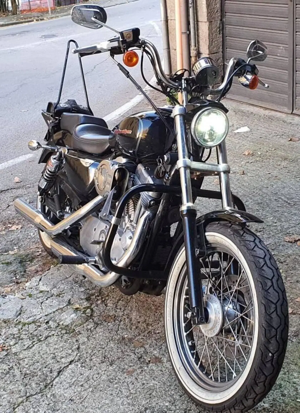 Harley-Davidson 883 Custom (2001 - 05) - XL 53C (4)