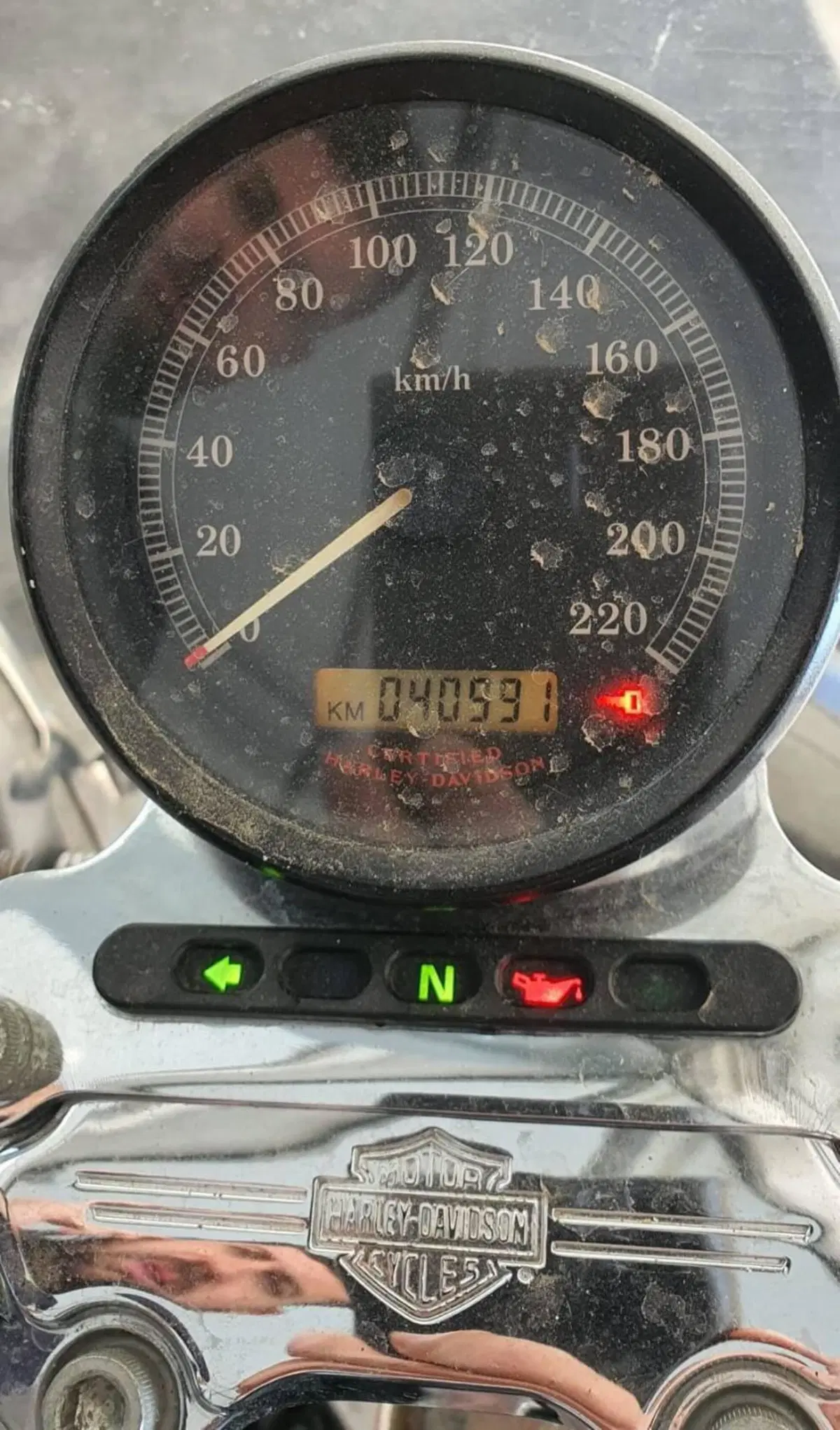 Harley-Davidson 883 Custom (2001 - 05) - XL 53C (7)