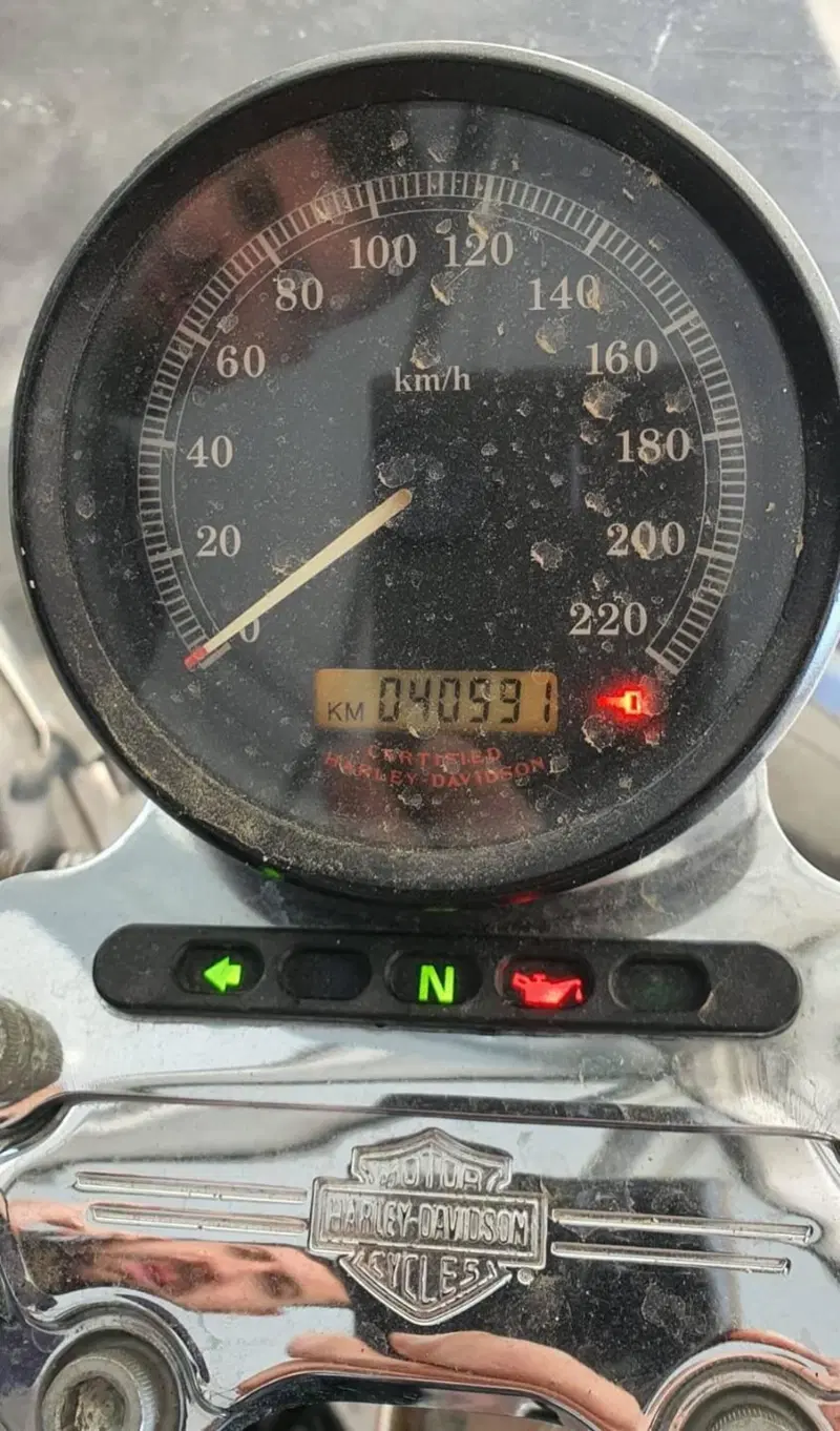 Harley-Davidson 883 Custom (2001 - 05) - XL 53C (7)