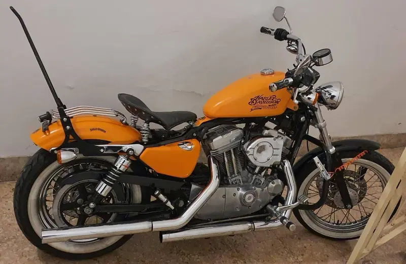 Harley-Davidson 883 Custom (2001 - 05) - XL 53C (8)