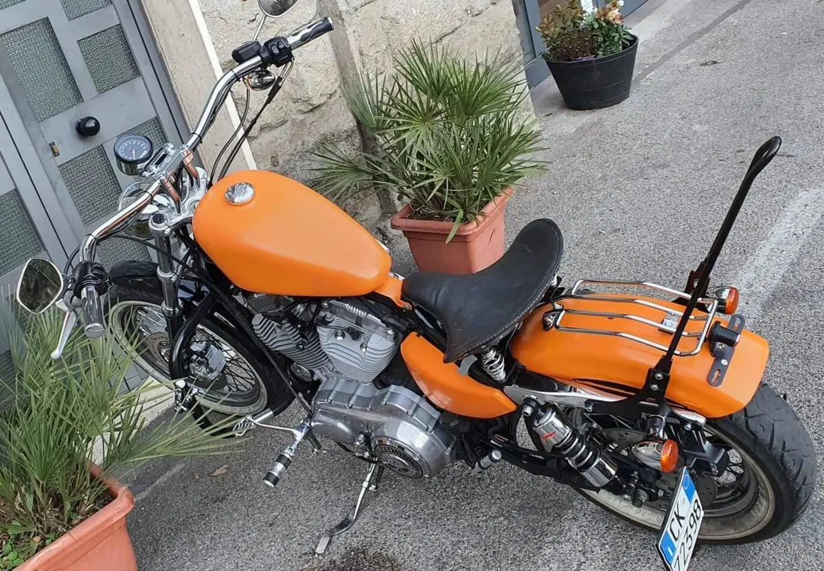 Harley-Davidson 883 Custom (2001 - 05) - XL 53C (11)