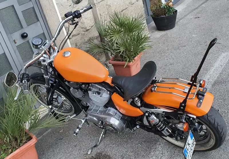 Harley-Davidson 883 Custom (2001 - 05) - XL 53C (11)