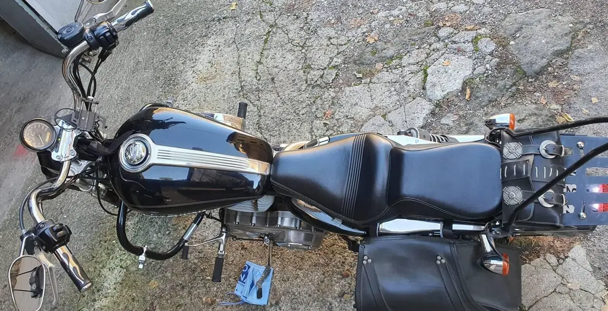 Harley-Davidson 883 Custom (2001 - 05) - XL 53C (14)