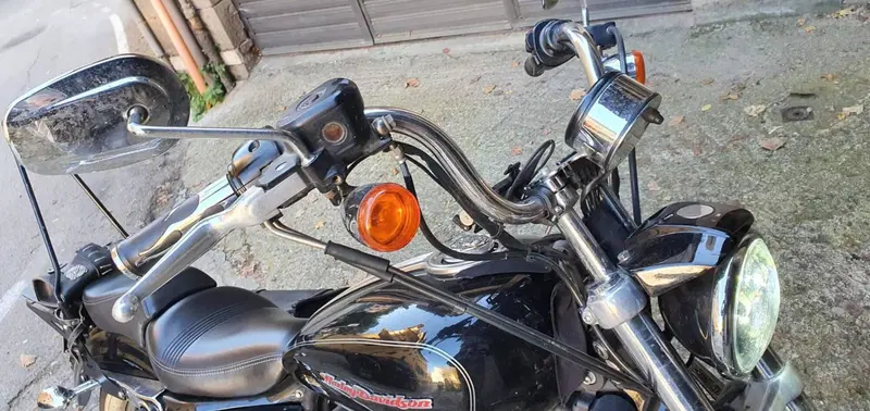 Harley-Davidson 883 Custom (2001 - 05) - XL 53C (16)