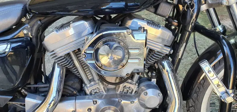 Harley-Davidson 883 Custom (2001 - 05) - XL 53C (17)