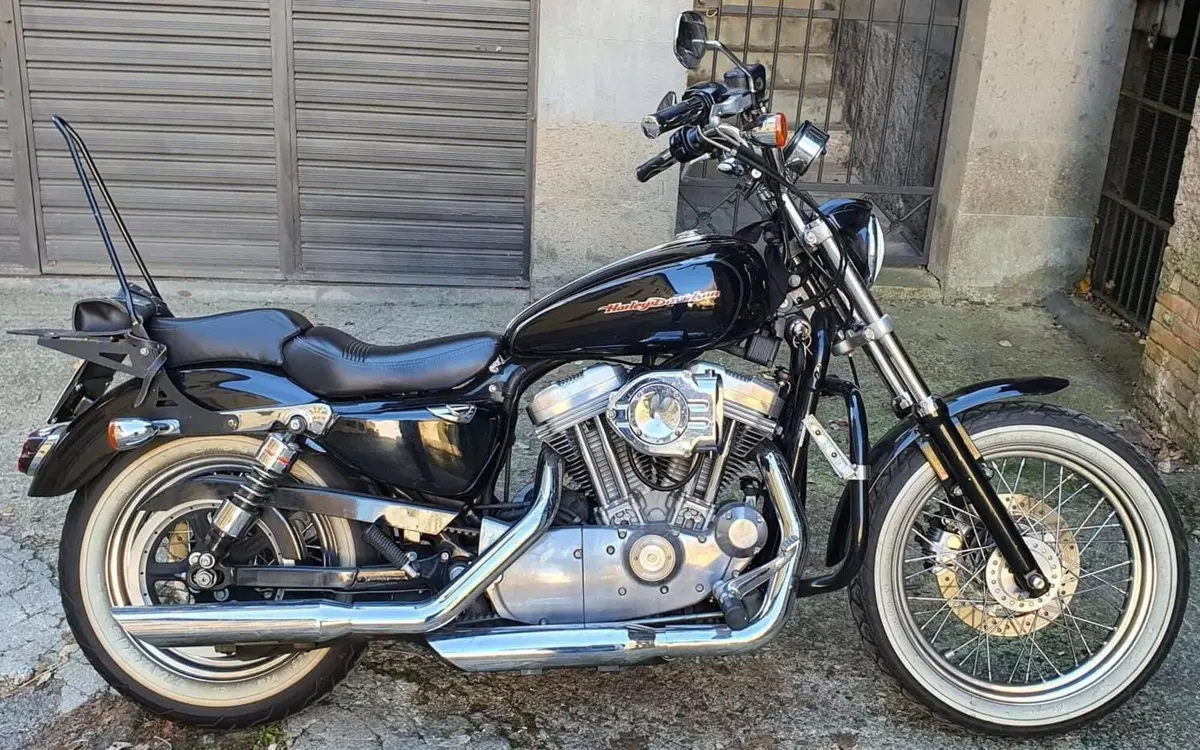 Harley-Davidson 883 Custom (2001 - 05) - XL 53C (19)